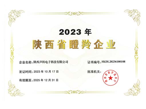 喜報 | 聲科電子榮獲2023陜西瞪羚企業(yè)