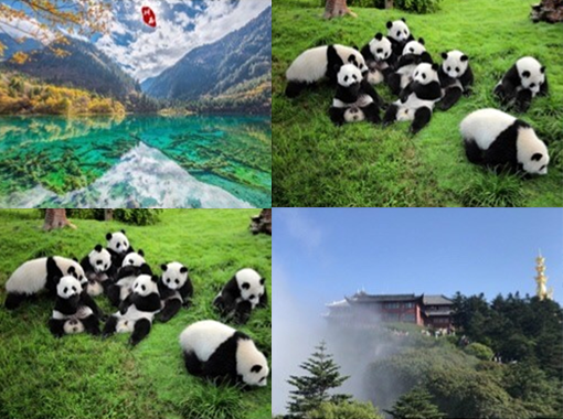 與SKE約成都!展會(huì)預(yù)告| MICONEX 2024！